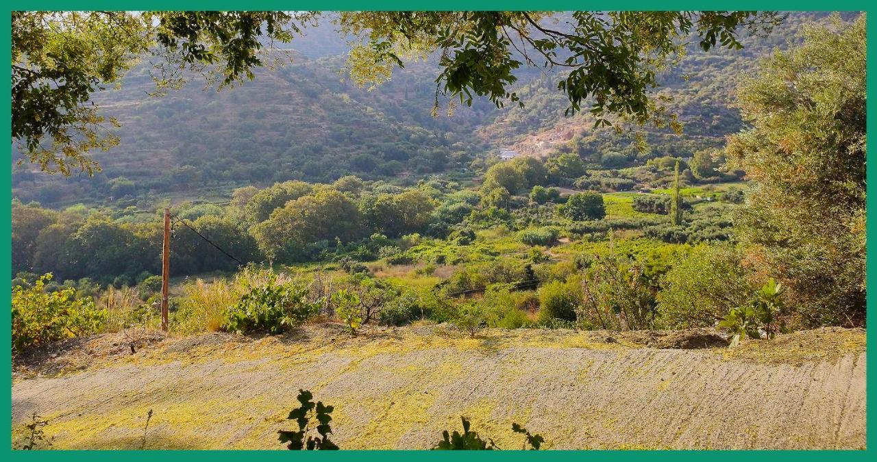 Kampos View Ikaria Evdilos (Ikaria) Exterior foto