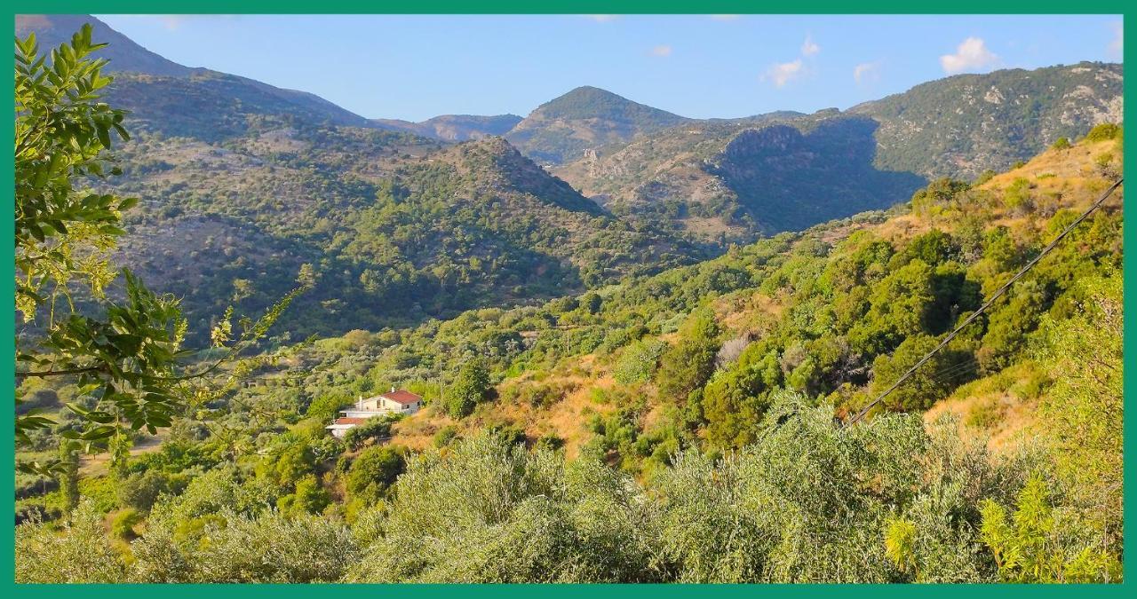 Kampos View Ikaria Evdilos (Ikaria) Exterior foto