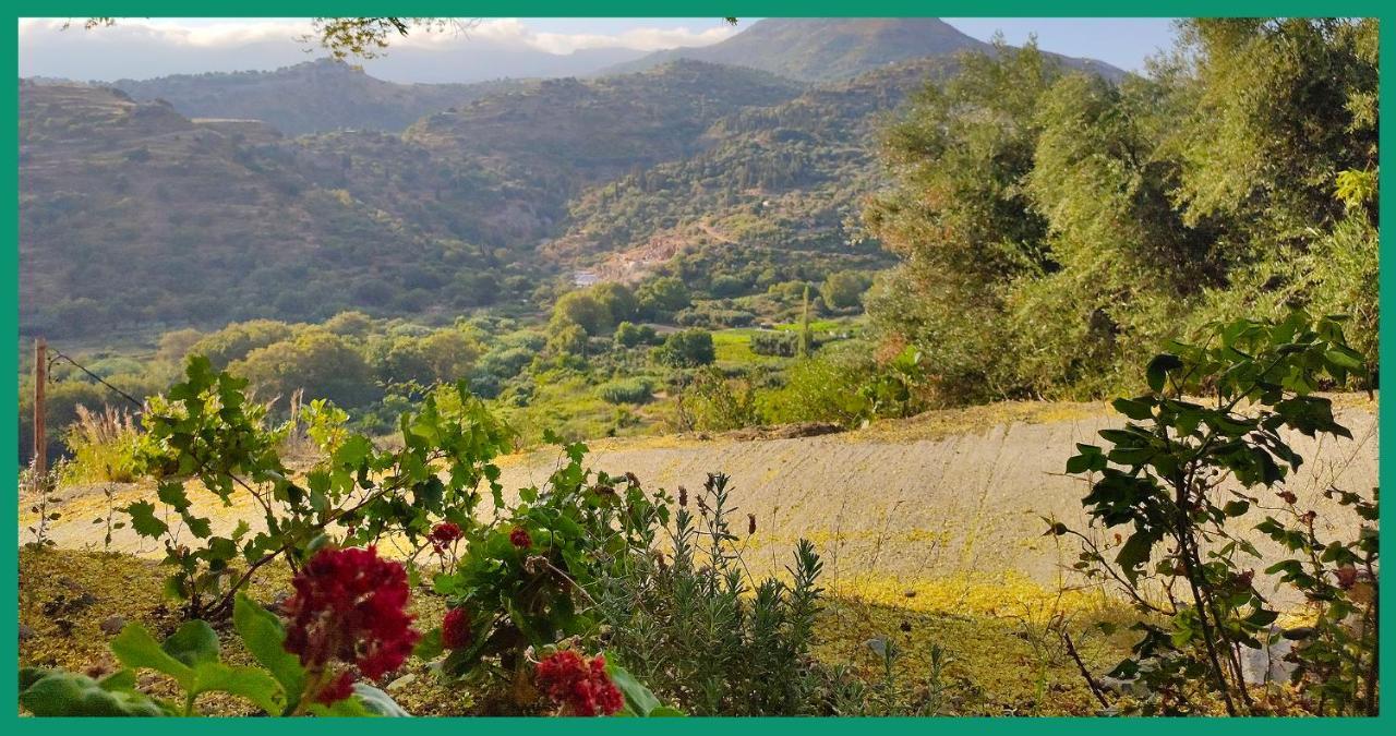 Kampos View Ikaria Evdilos (Ikaria) Exterior foto