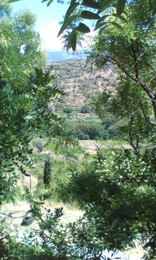 Kampos View Ikaria Evdilos (Ikaria) Exterior foto